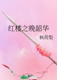 红楼之晚韶华李纨